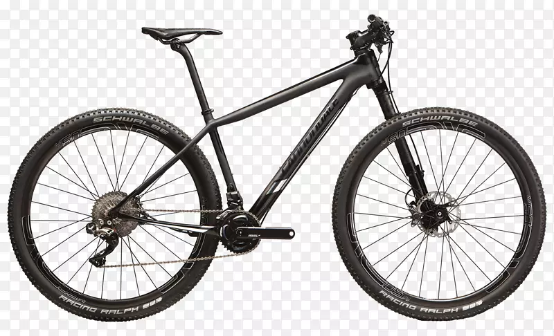 卡农代尔自行车公司山地自行车硬尾自行车-自行车