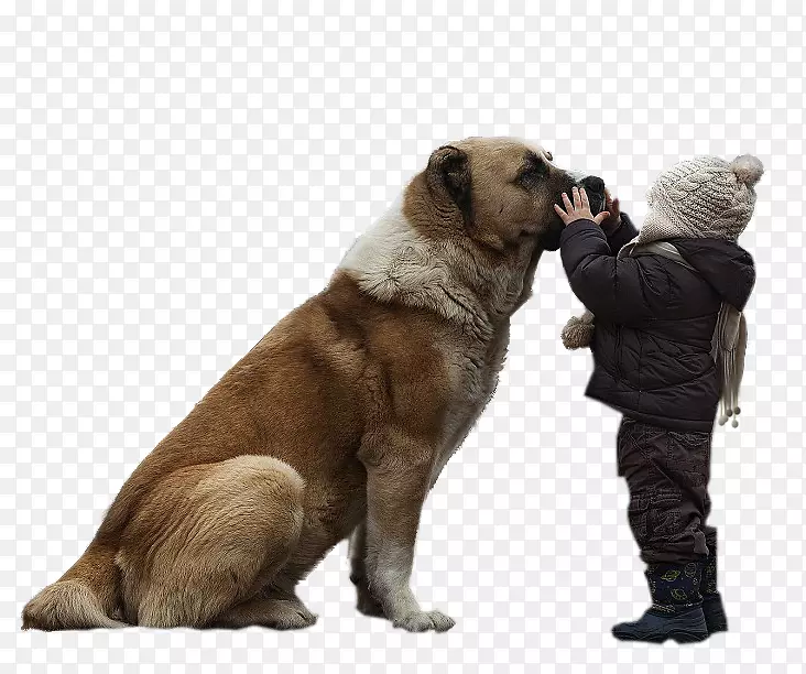 狗仔摄影-狗