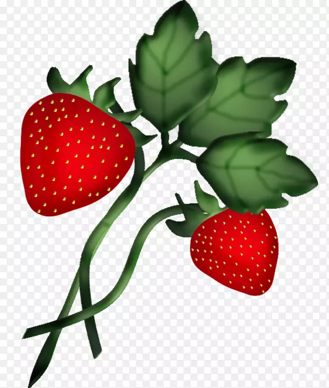 草莓辅料水果阿莫罗多食品-草莓