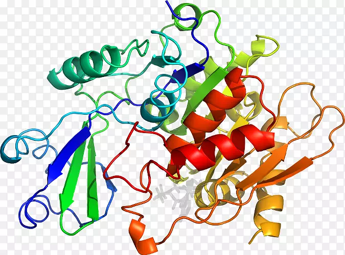 线点生物剪贴画线