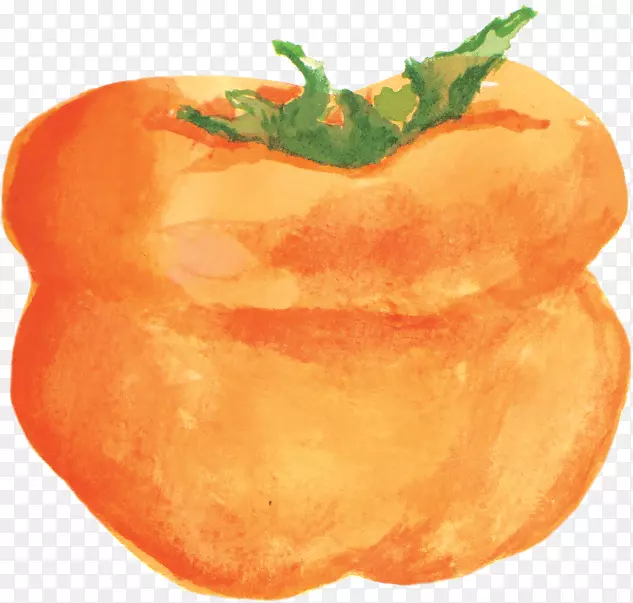 素菜柿子食品-柿子