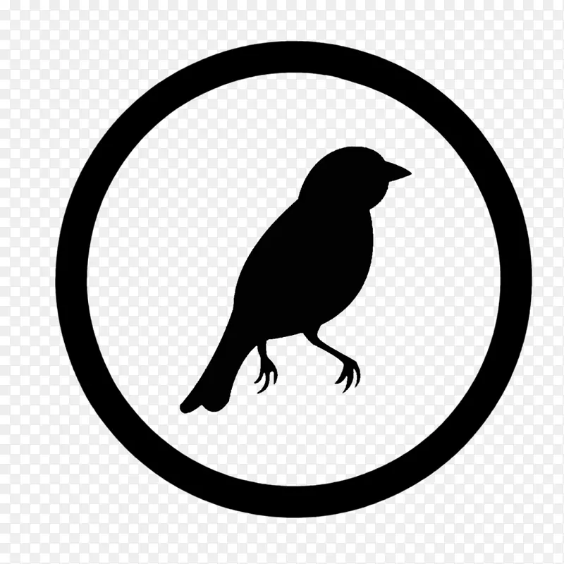 信息模拟产业GitHub动画电影