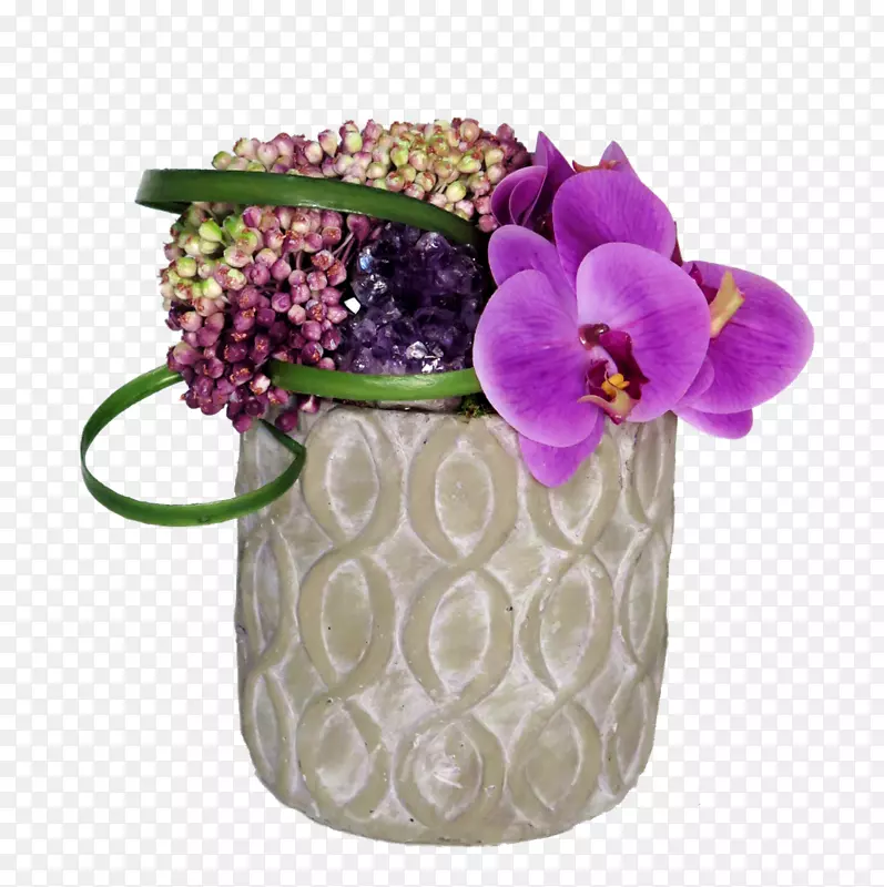 花卉设计切花，飞蛾，兰花.紫色肉质