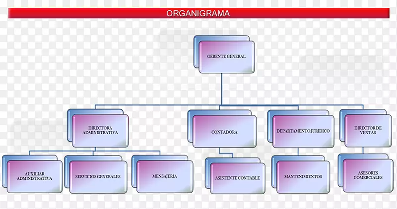 组织结构图-房地产企业管理组织结构-愿景