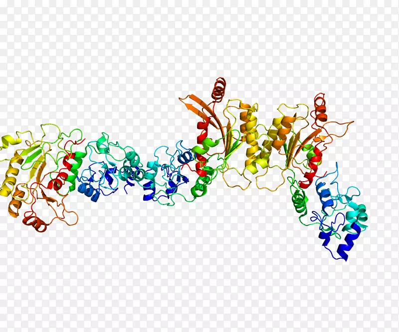 DNA甲基转移酶dnmt 3l蛋白DNA甲基化酶