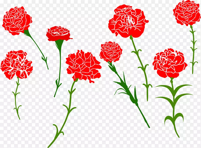 康乃馨-免费花卉剪贴画-花卉