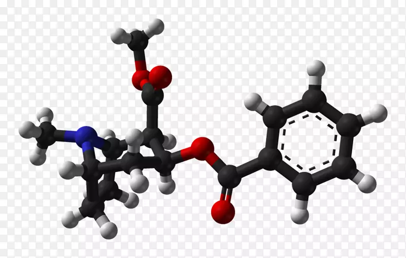 分子有机化合物9，10-二硫蒽球棒模型