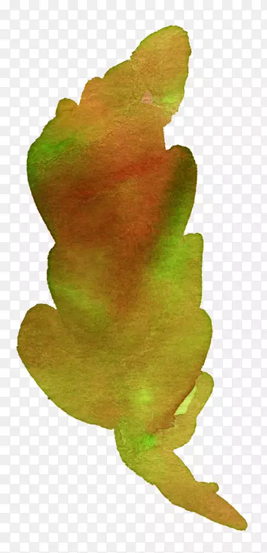 树蛙叶秋季植物茎水彩画-水彩画系