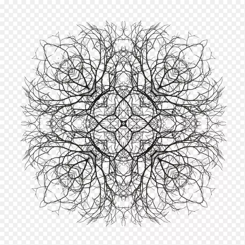 分形艺术缺陷艺术分形树指数对称性-分形几何学