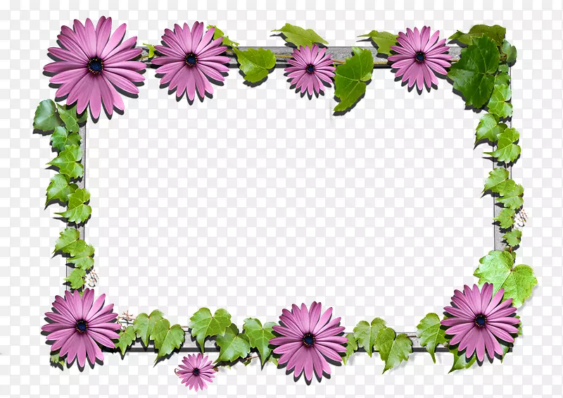 花卉设计画框