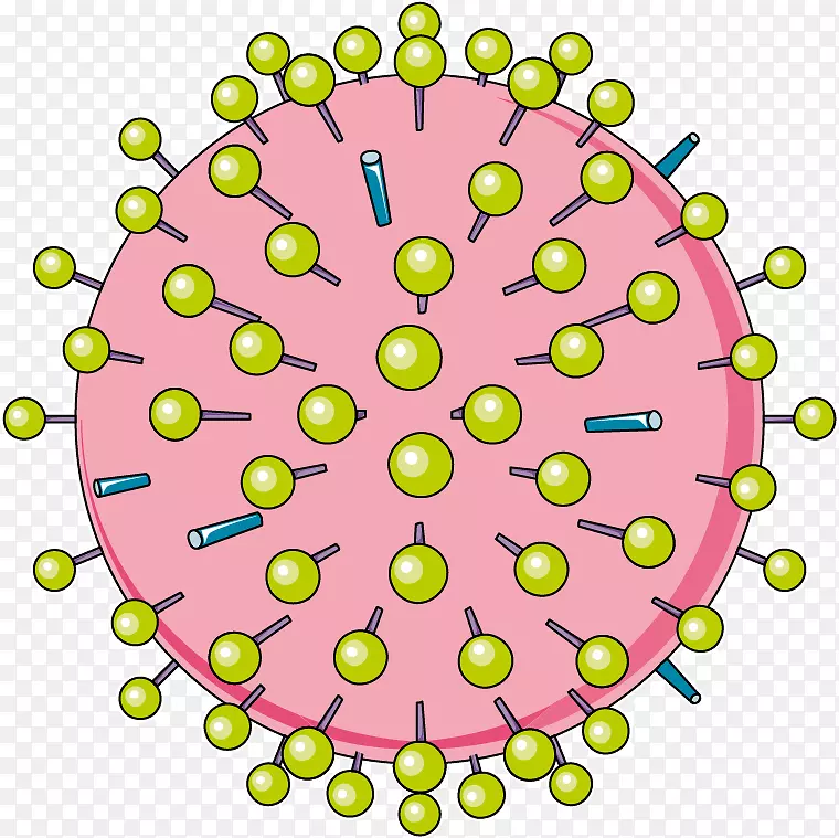 流感病毒实验室服务药-鲤鱼疱疹病毒3