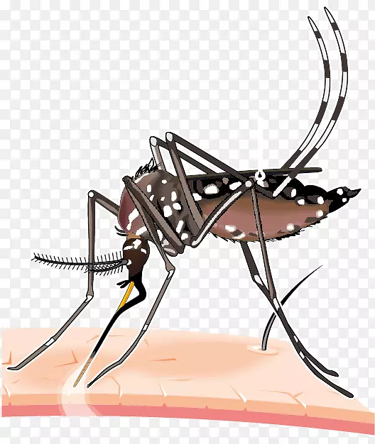 2015年-16寨卡病毒流行性黄热病登革热蚊虫病