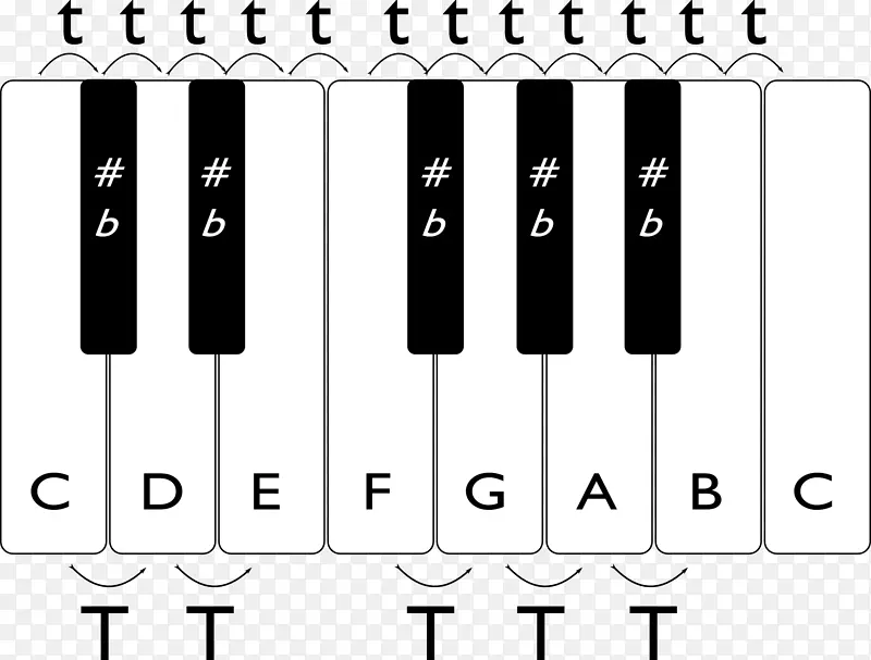 音乐键盘半音符音阶.音符