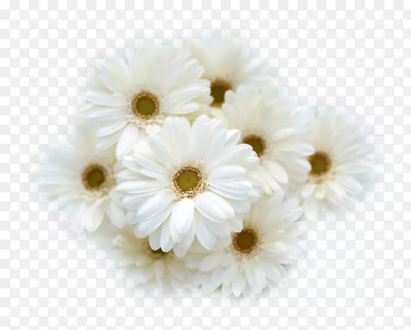 花束白色婚纱切花-鲜花