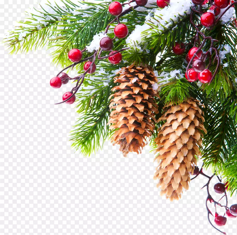 1月基辅0新年假期-创意圣诞树树枝