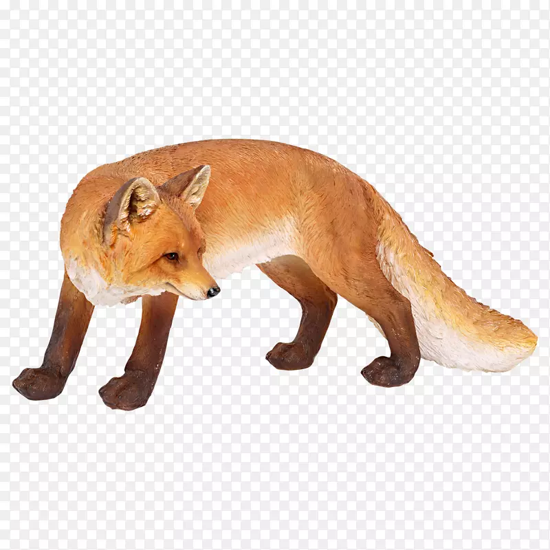 红狐鼻子陆生动物-狐狸