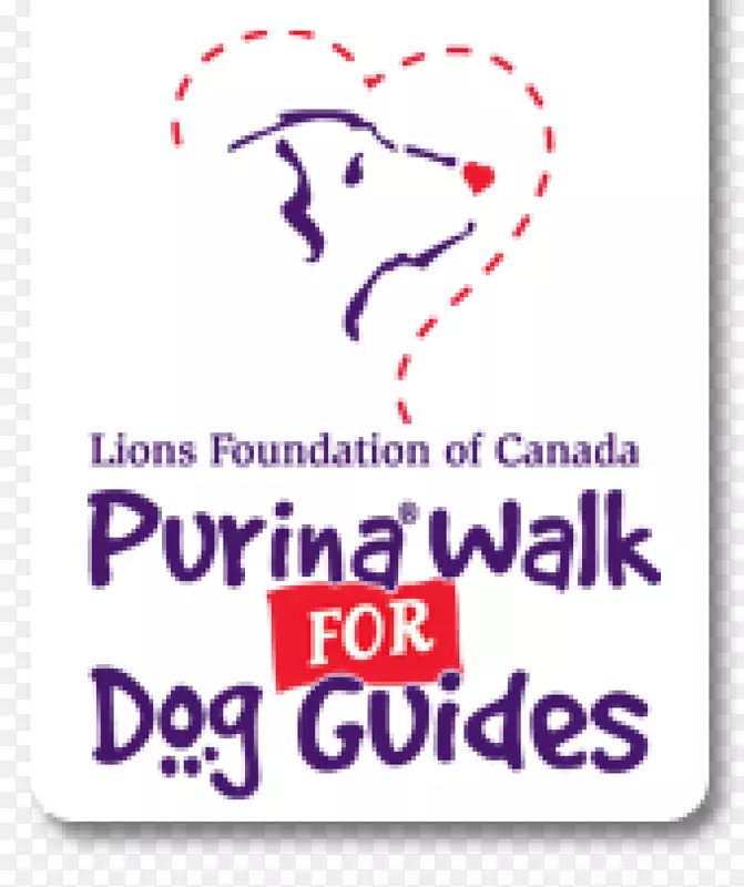 加拿大导盲犬拉布拉多猎犬宠物养狮基金会