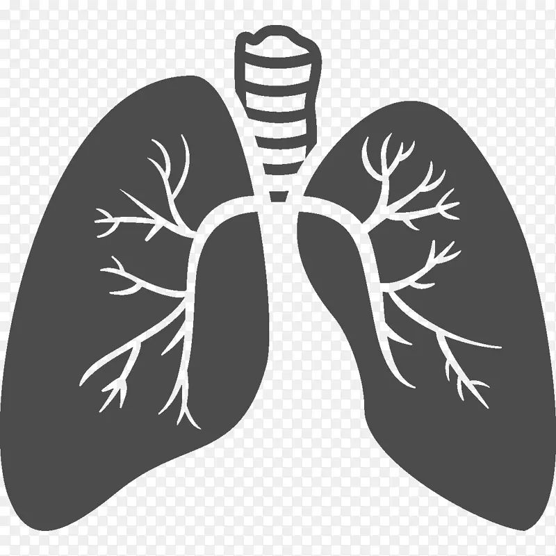 肺科重症监护药物过敏学专业