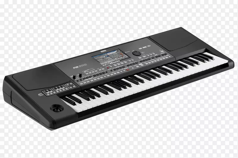 Korg pa600qt键盘乐器.键盘