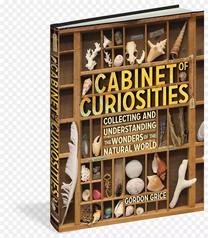好奇心柜：收集和理解自然世界的奇观，精装书橱柜