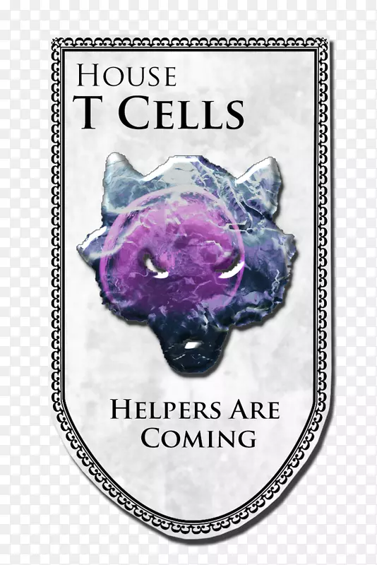 细胞型t细胞树突状细胞b细胞biolegendt-t细胞