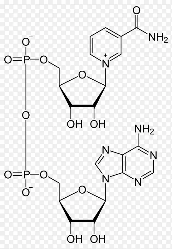 烟酰胺腺嘌呤二核苷酸磷酸辅酶葡萄糖6磷酸脱氢酶