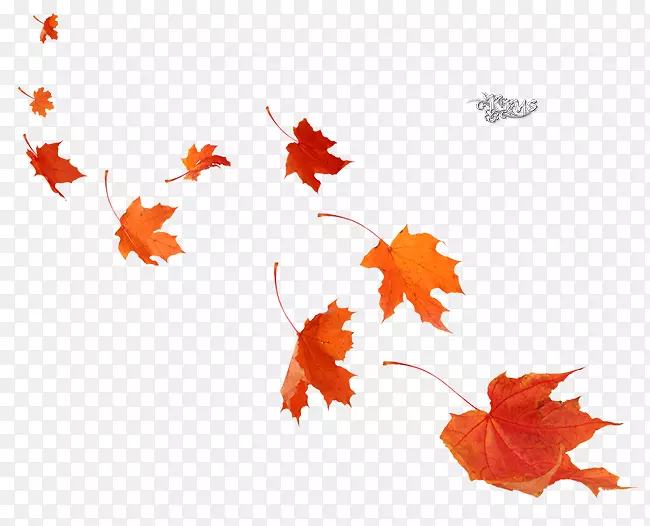 枫叶海报秋季壁画