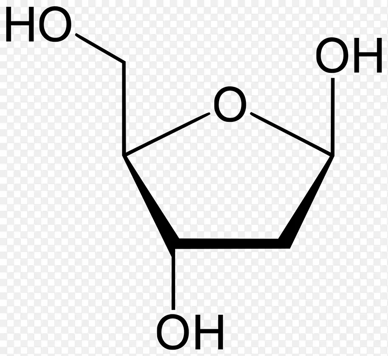 果糖1，6-二磷酸呋喃糖核糖Haworth投影
