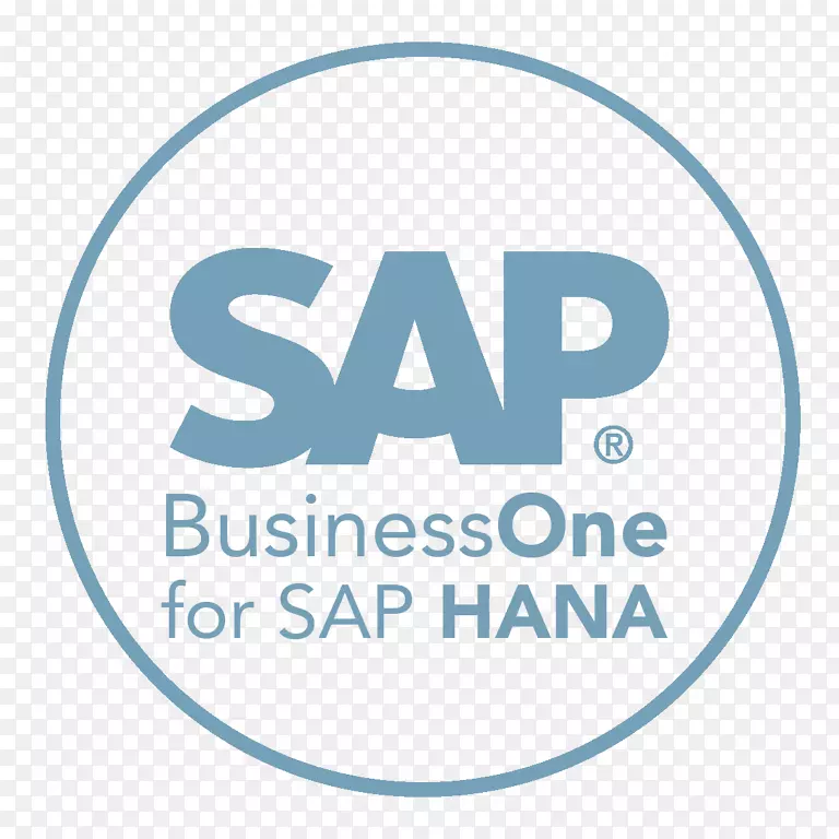 SAP业务一sap se sap业务通过设计企业资源规划-业务