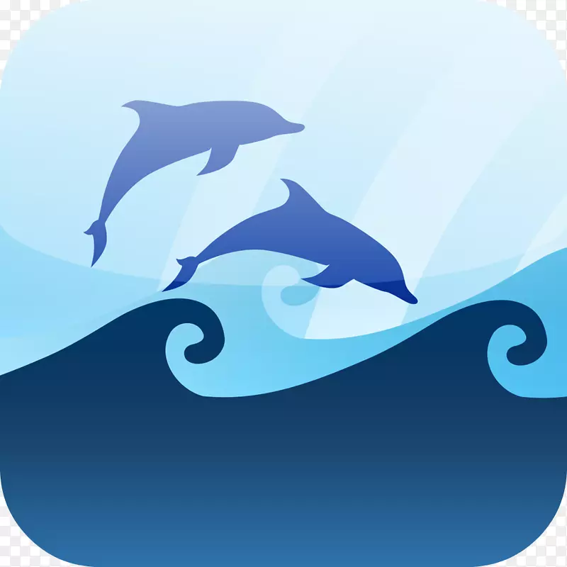 常见宽吻海豚风浪海水海洋波