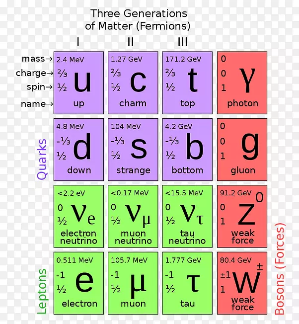 粒子物理玻色子轻子夸克基本粒子-粒子