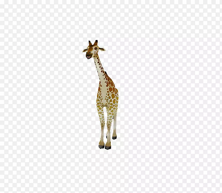 长颈鹿脖子陆地动物野生动物长颈鹿