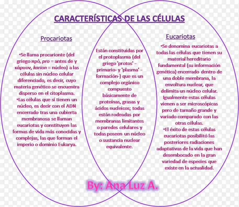 Cèl·Lula eucariota Cellula proariote真核生物-生物