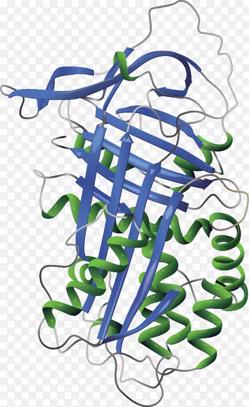 α-1-蛋白酶抑制剂α1-抗胰蛋白酶缺乏性肝病