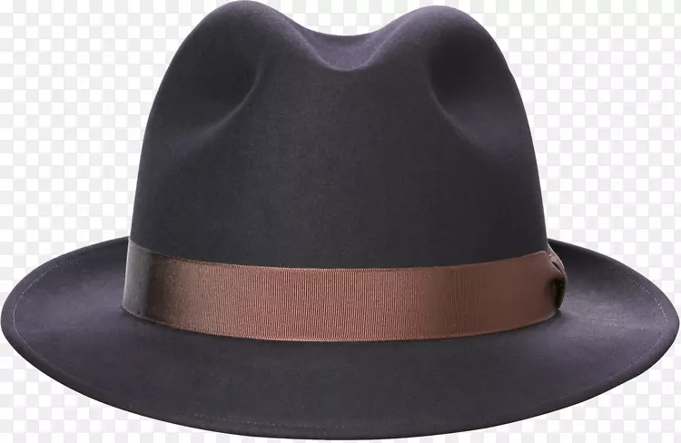 软呢帽，三边帽，动力制动器，服装.帽子