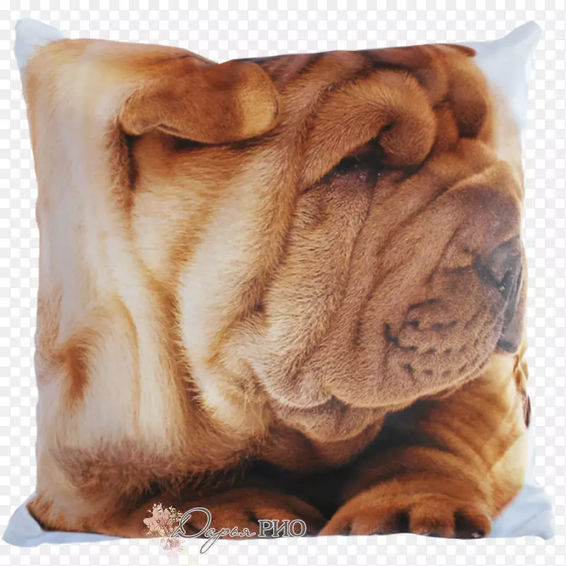 沙培奥义犬培育枕头垫枕