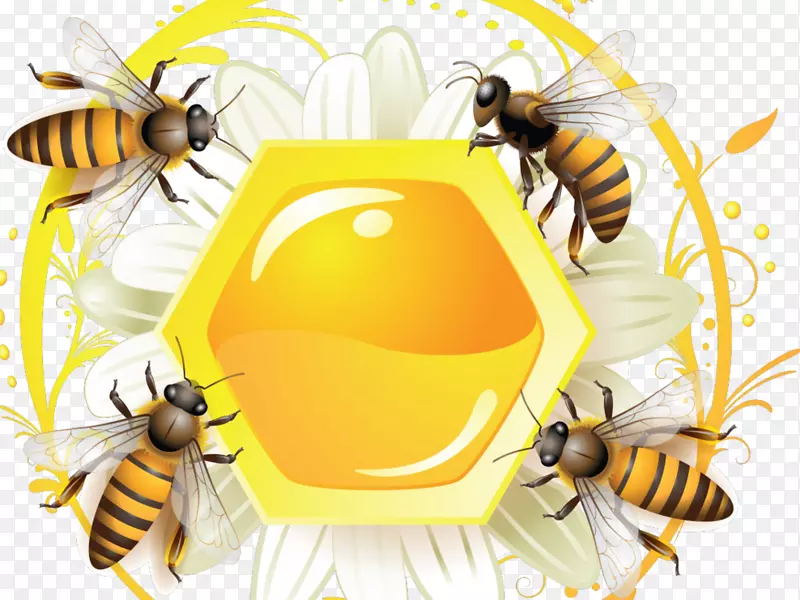 蜜蜂标签