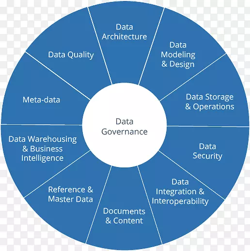 数据治理数据质量商业智能