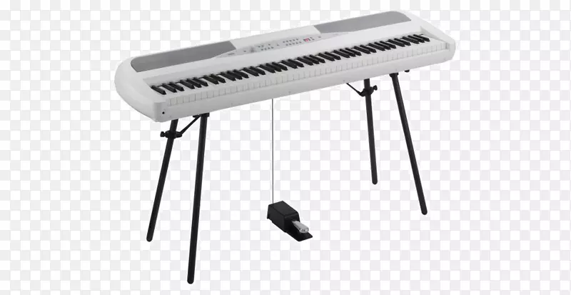 雅马哈p-115 korg sp-280数字钢琴键盘
