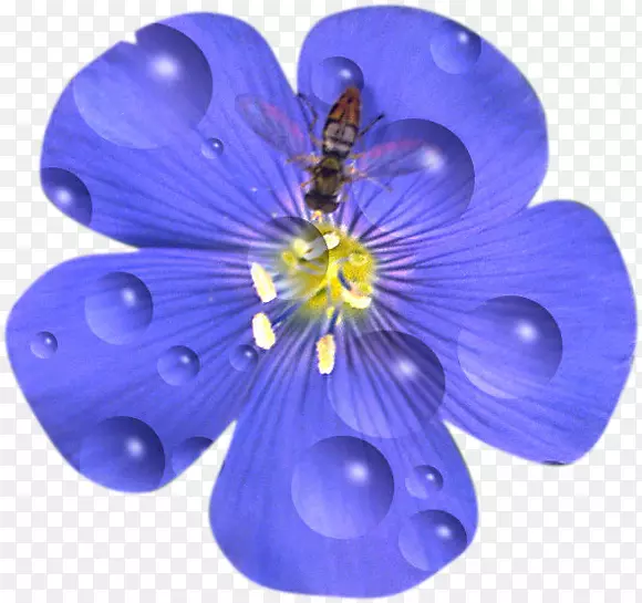 花画花瓣蓝色亚麻茶室-花
