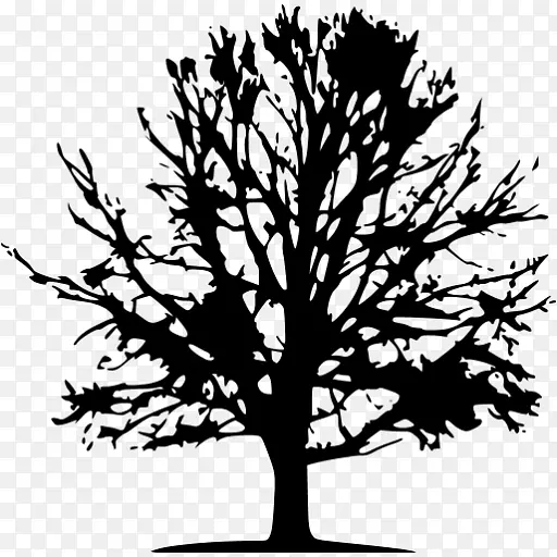 乔木学家树桩绝对树木专家和土地清理有限责任公司剪枝树