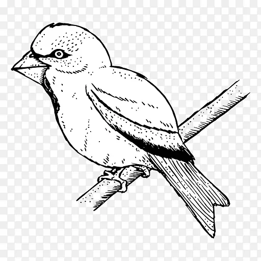雀鸟线艺术-鸟