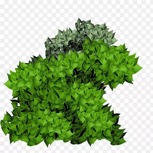 灌木植物剪贴画.绿树