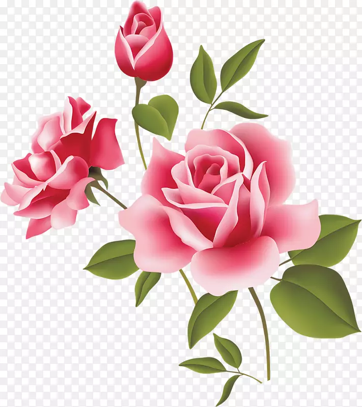 无条件的爱，奥托花店&礼物，感恩，幸福-玫瑰花藤