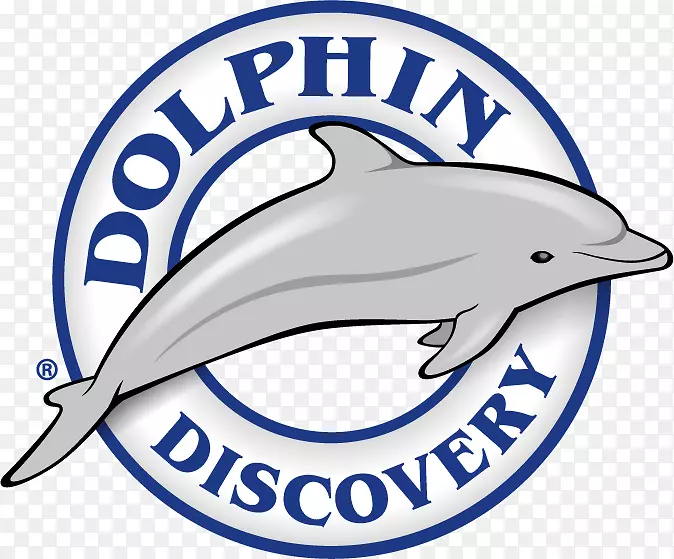 海豚发现-哥斯达黎加玛雅群岛-人