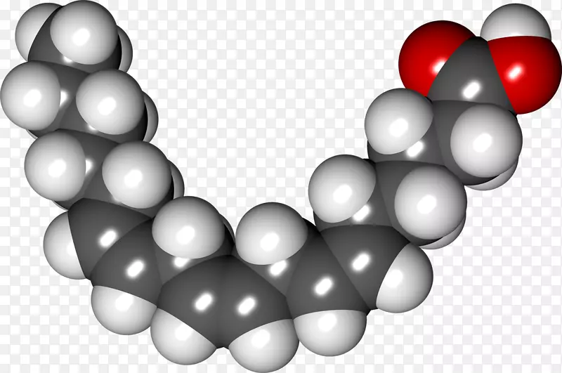 α-亚麻酸脂肪酸多不饱和脂肪γ-亚麻酸