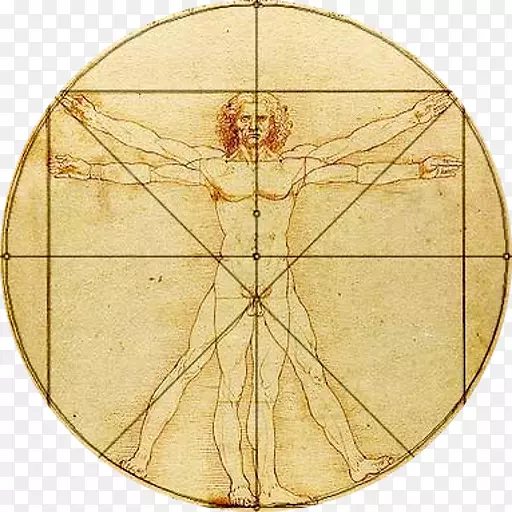 维特鲁维人身体比例黄金分割图-数学