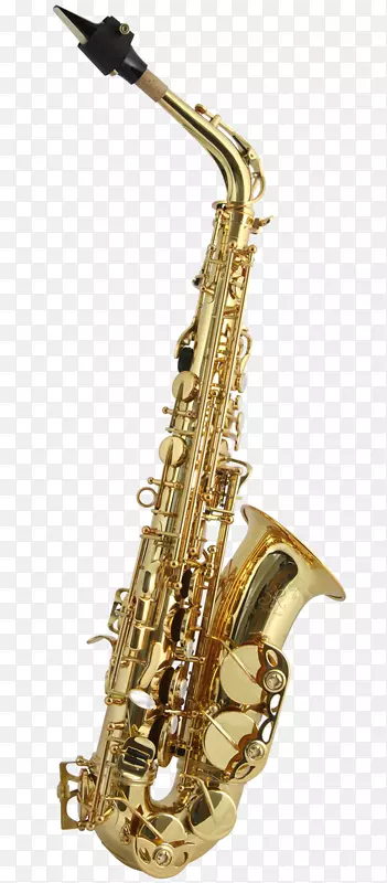 阿尔托萨克斯管或萨克斯管男中音萨克斯管木管乐器萨克斯管