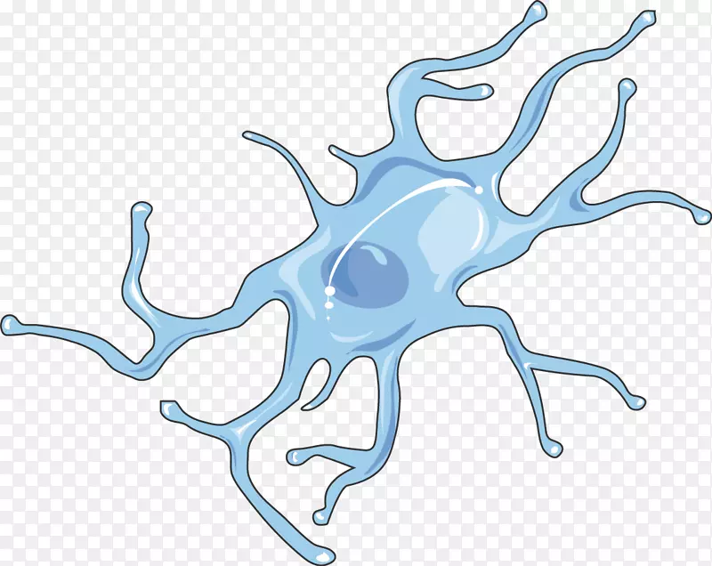 小胶质细胞神经系统细胞神经组织生物学-脑