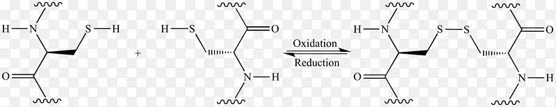 缩二脲蛋白肽键化学反应-其它反应